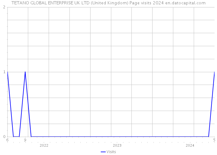 TETANO GLOBAL ENTERPRISE UK LTD (United Kingdom) Page visits 2024 