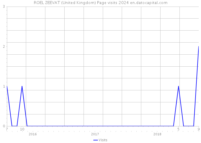 ROEL ZEEVAT (United Kingdom) Page visits 2024 