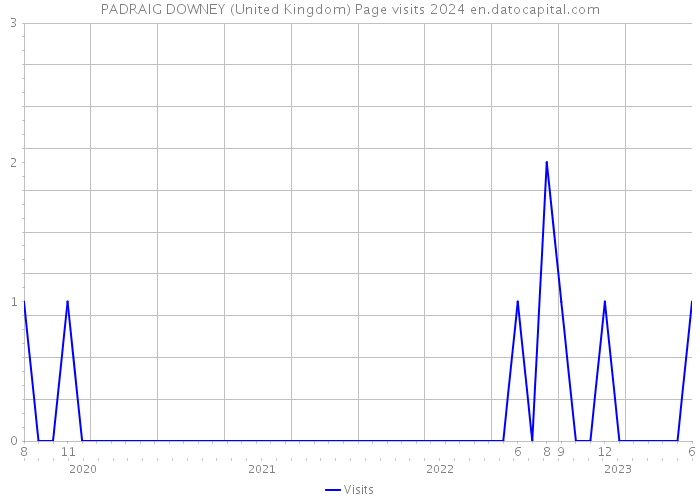 PADRAIG DOWNEY (United Kingdom) Page visits 2024 