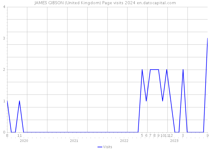 JAMES GIBSON (United Kingdom) Page visits 2024 