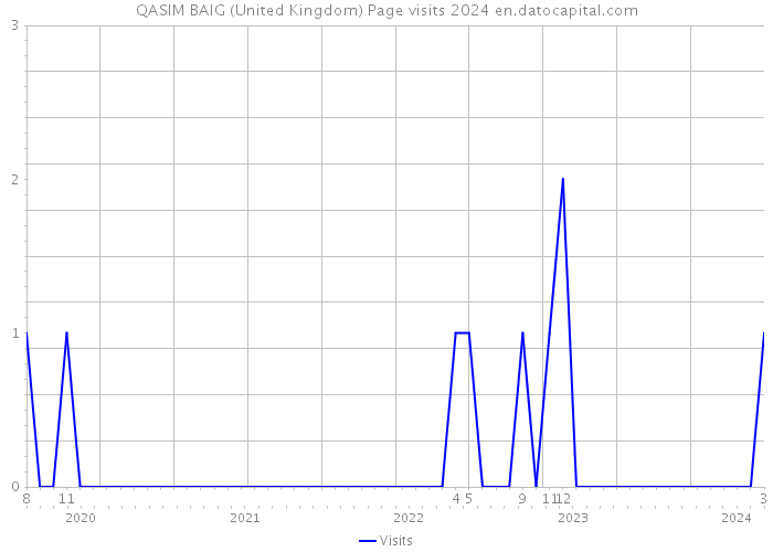 QASIM BAIG (United Kingdom) Page visits 2024 