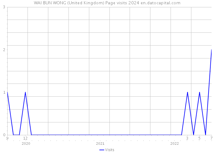 WAI BUN WONG (United Kingdom) Page visits 2024 