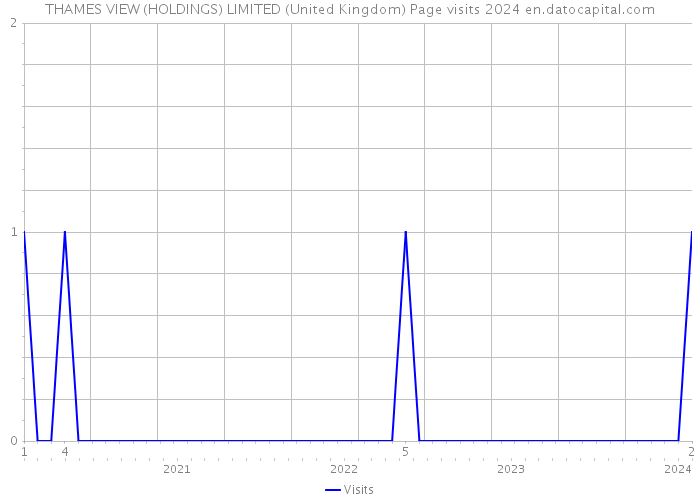 THAMES VIEW (HOLDINGS) LIMITED (United Kingdom) Page visits 2024 