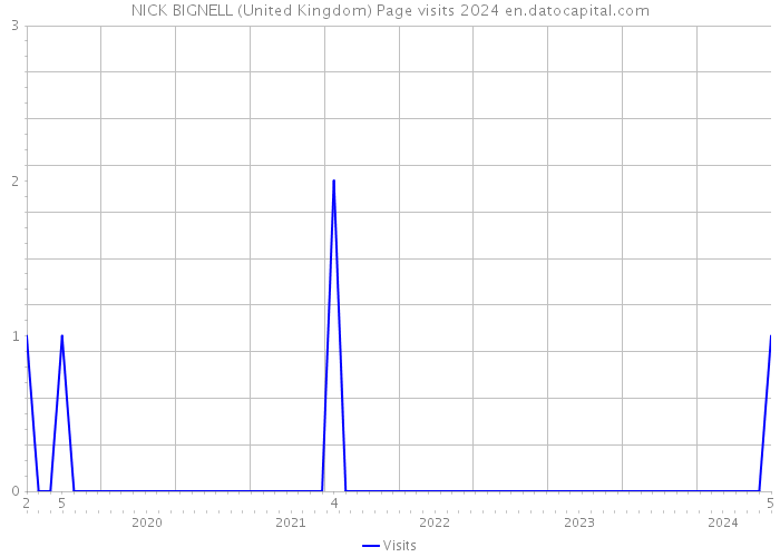 NICK BIGNELL (United Kingdom) Page visits 2024 