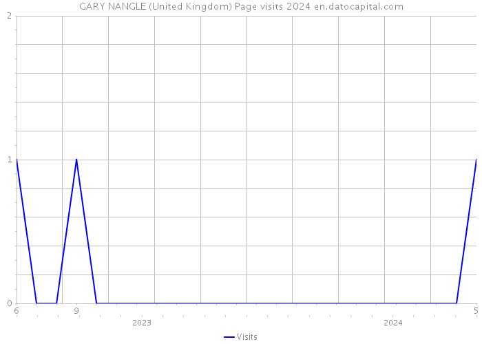 GARY NANGLE (United Kingdom) Page visits 2024 