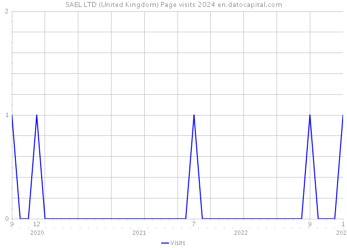 SAEL LTD (United Kingdom) Page visits 2024 