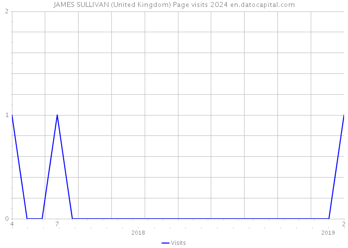 JAMES SULLIVAN (United Kingdom) Page visits 2024 