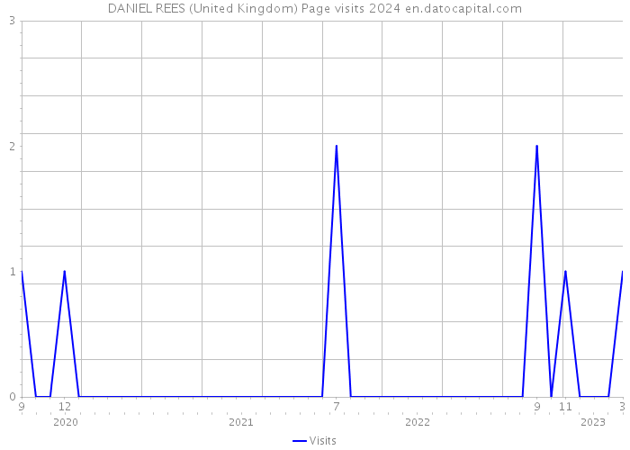 DANIEL REES (United Kingdom) Page visits 2024 