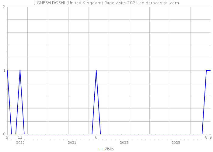 JIGNESH DOSHI (United Kingdom) Page visits 2024 