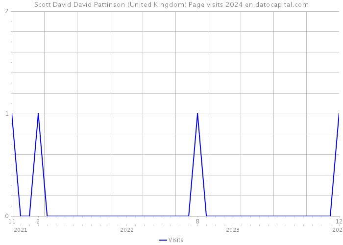 Scott David David Pattinson (United Kingdom) Page visits 2024 