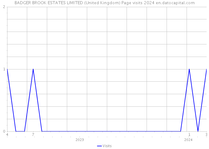 BADGER BROOK ESTATES LIMITED (United Kingdom) Page visits 2024 