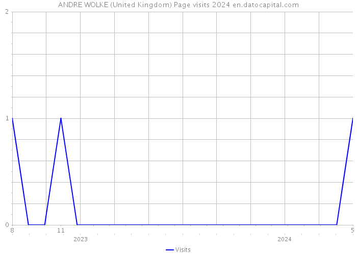 ANDRE WOLKE (United Kingdom) Page visits 2024 
