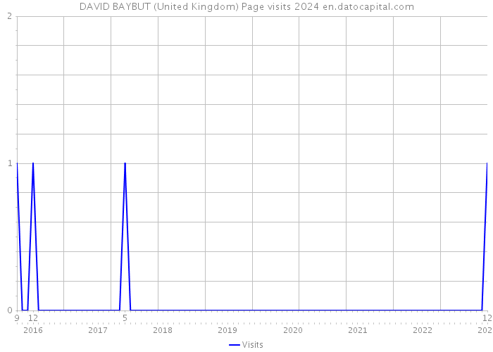 DAVID BAYBUT (United Kingdom) Page visits 2024 