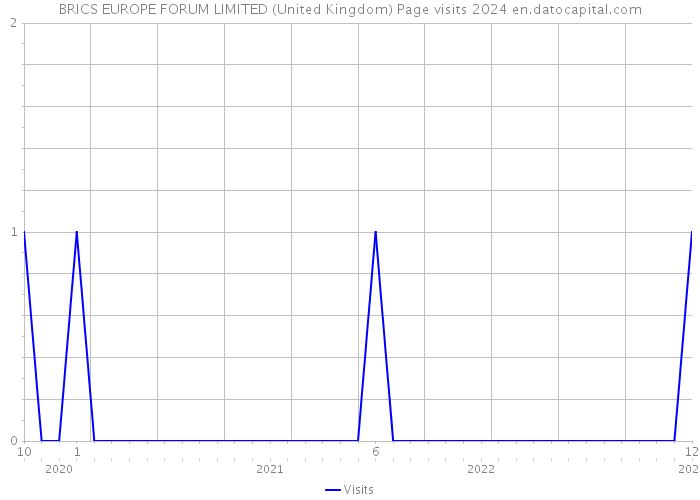 BRICS EUROPE FORUM LIMITED (United Kingdom) Page visits 2024 