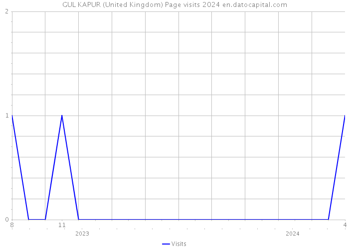 GUL KAPUR (United Kingdom) Page visits 2024 