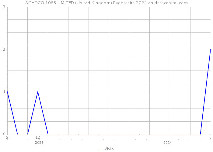 AGHOCO 1063 LIMITED (United Kingdom) Page visits 2024 