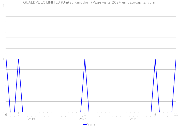 QUAEDVLIEG LIMITED (United Kingdom) Page visits 2024 