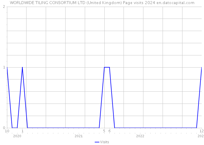 WORLDWIDE TILING CONSORTIUM LTD (United Kingdom) Page visits 2024 