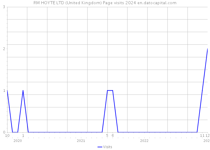 RM HOYTE LTD (United Kingdom) Page visits 2024 