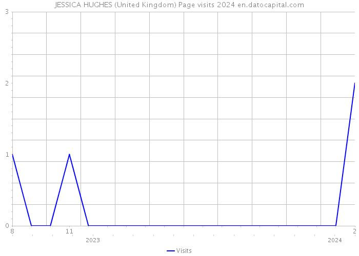JESSICA HUGHES (United Kingdom) Page visits 2024 