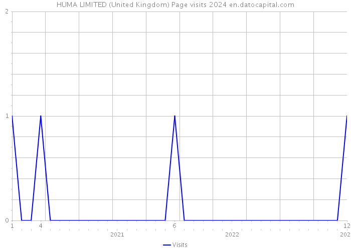 HUMA LIMITED (United Kingdom) Page visits 2024 
