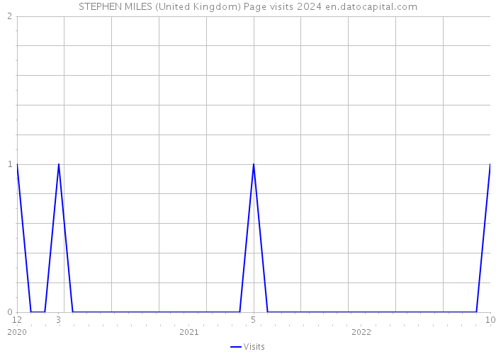 STEPHEN MILES (United Kingdom) Page visits 2024 