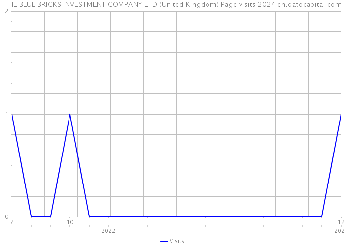 THE BLUE BRICKS INVESTMENT COMPANY LTD (United Kingdom) Page visits 2024 