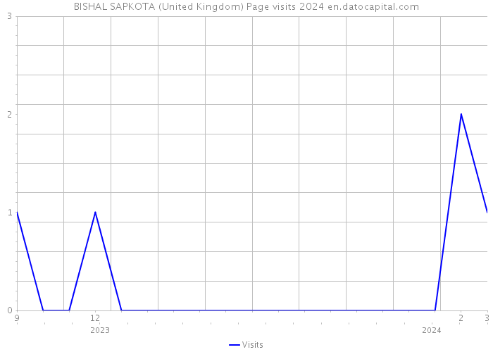 BISHAL SAPKOTA (United Kingdom) Page visits 2024 