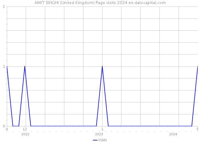 AMIT SINGHI (United Kingdom) Page visits 2024 
