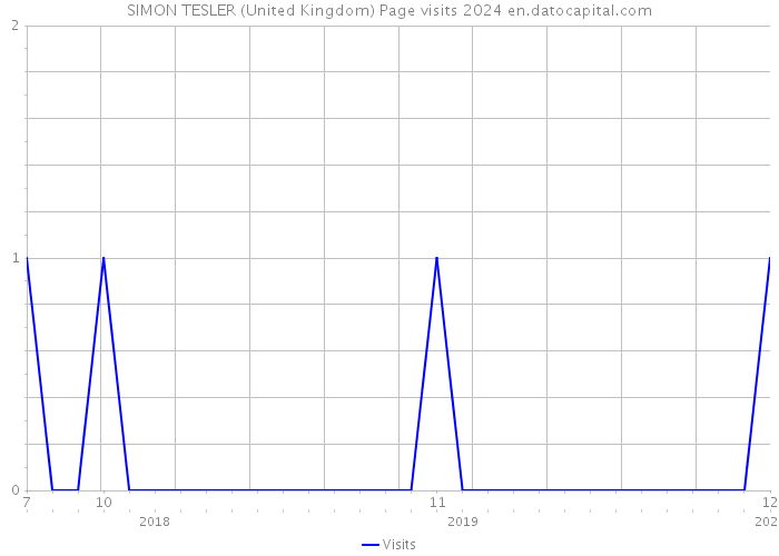 SIMON TESLER (United Kingdom) Page visits 2024 