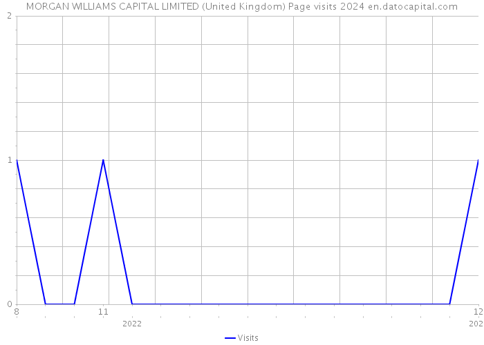 MORGAN WILLIAMS CAPITAL LIMITED (United Kingdom) Page visits 2024 