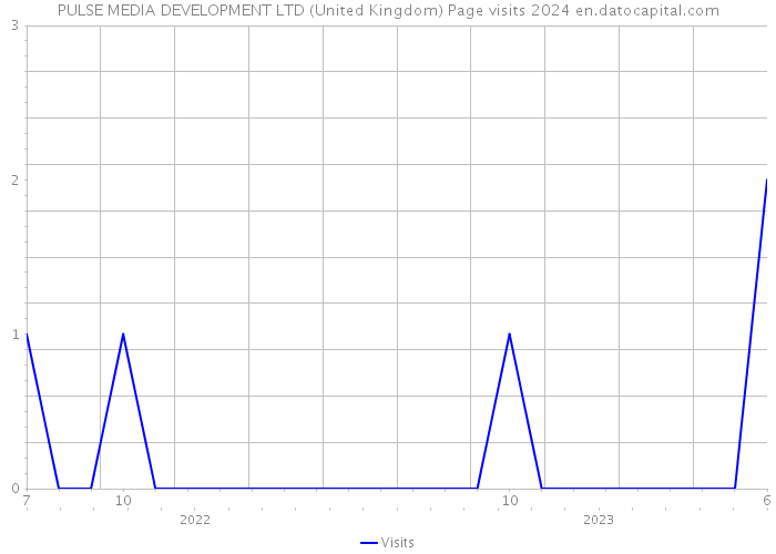 PULSE MEDIA DEVELOPMENT LTD (United Kingdom) Page visits 2024 