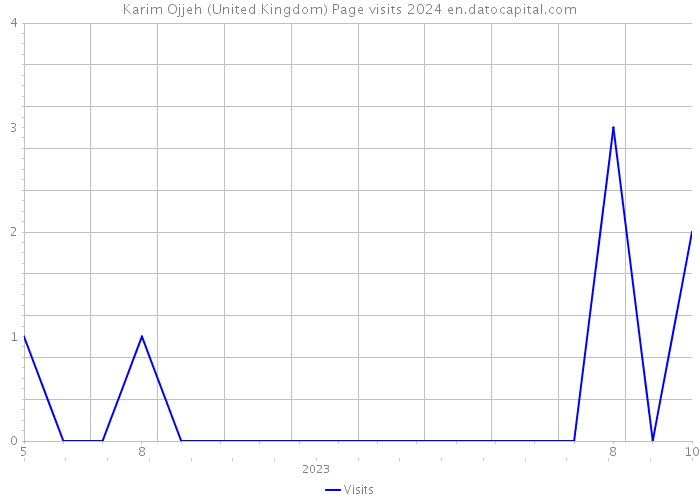 Karim Ojjeh (United Kingdom) Page visits 2024 