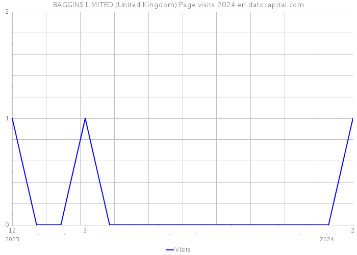BAGGINS LIMITED (United Kingdom) Page visits 2024 