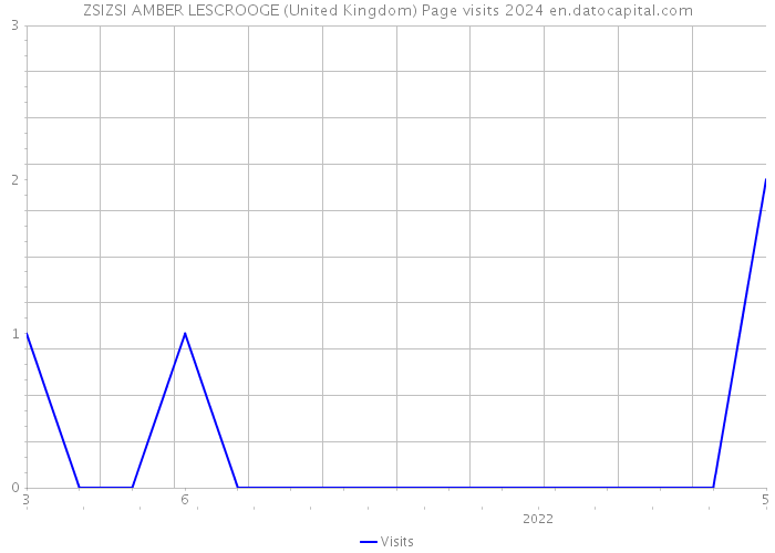 ZSIZSI AMBER LESCROOGE (United Kingdom) Page visits 2024 