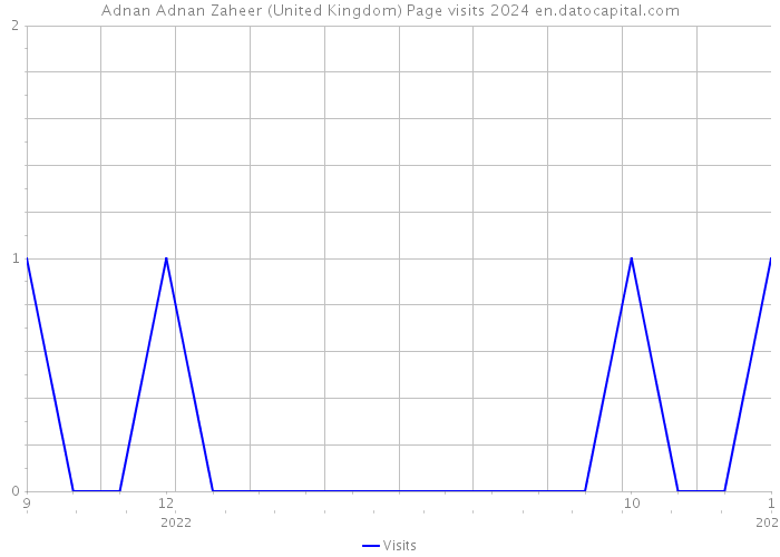 Adnan Adnan Zaheer (United Kingdom) Page visits 2024 