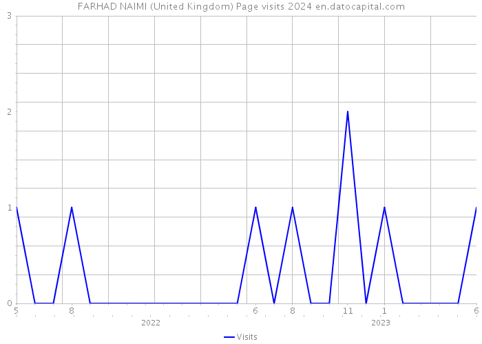 FARHAD NAIMI (United Kingdom) Page visits 2024 
