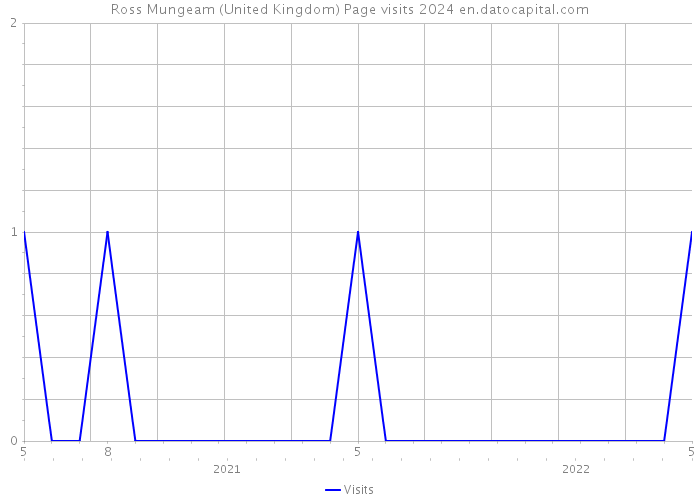 Ross Mungeam (United Kingdom) Page visits 2024 