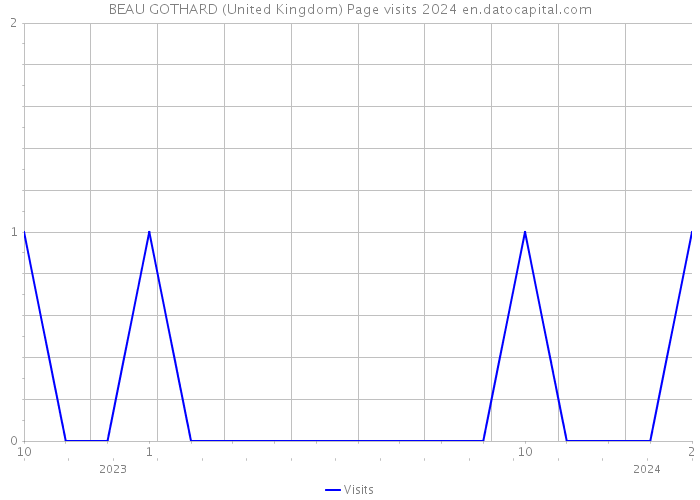 BEAU GOTHARD (United Kingdom) Page visits 2024 