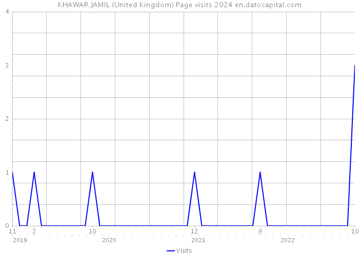 KHAWAR JAMIL (United Kingdom) Page visits 2024 