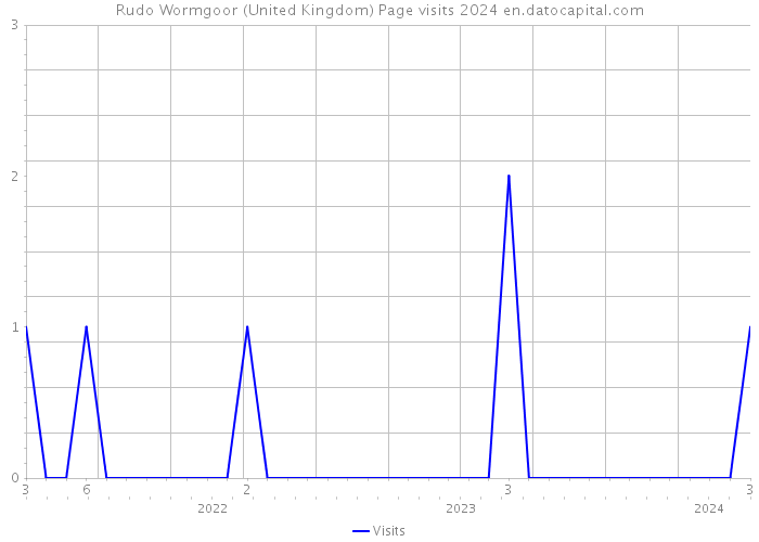 Rudo Wormgoor (United Kingdom) Page visits 2024 