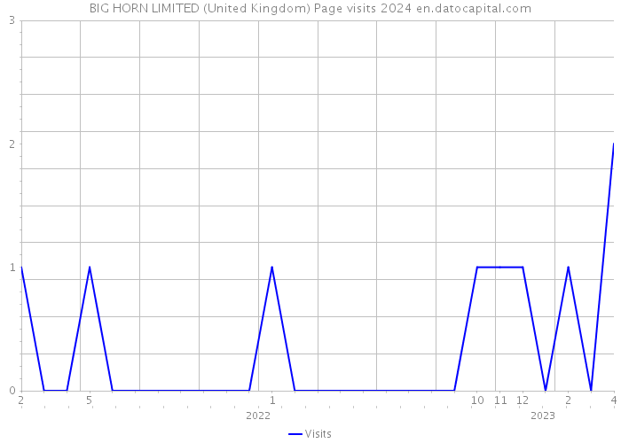 BIG HORN LIMITED (United Kingdom) Page visits 2024 