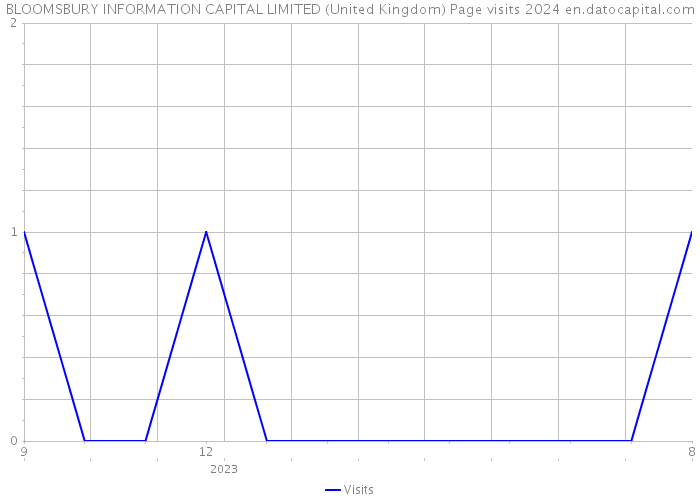 BLOOMSBURY INFORMATION CAPITAL LIMITED (United Kingdom) Page visits 2024 