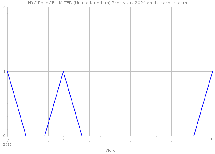 HYC PALACE LIMITED (United Kingdom) Page visits 2024 