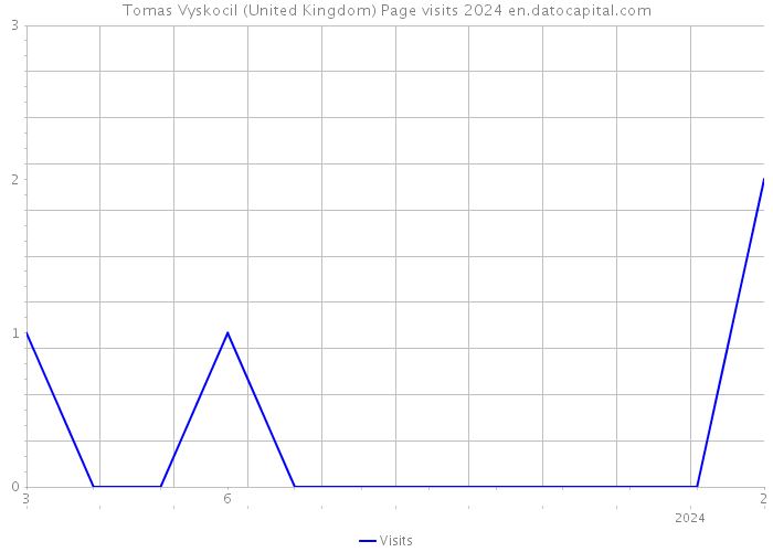 Tomas Vyskocil (United Kingdom) Page visits 2024 