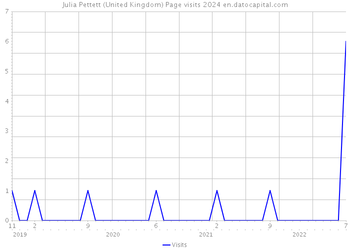 Julia Pettett (United Kingdom) Page visits 2024 