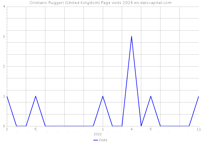 Cristiano Ruggeri (United Kingdom) Page visits 2024 