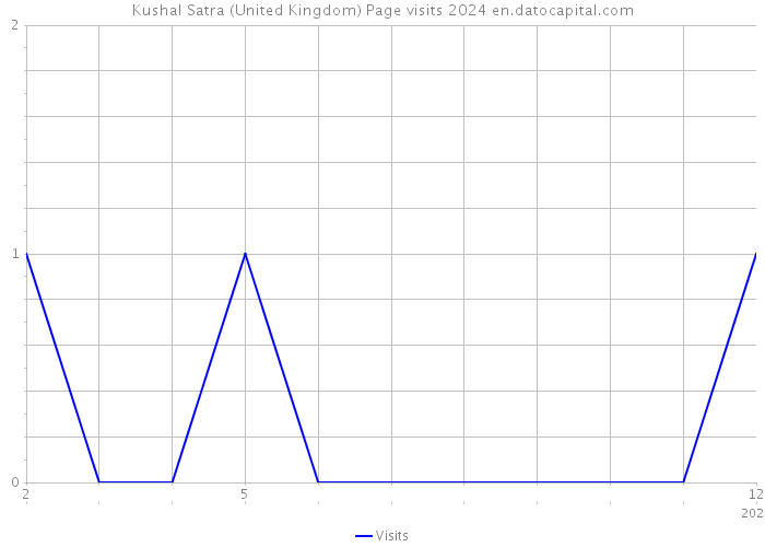 Kushal Satra (United Kingdom) Page visits 2024 