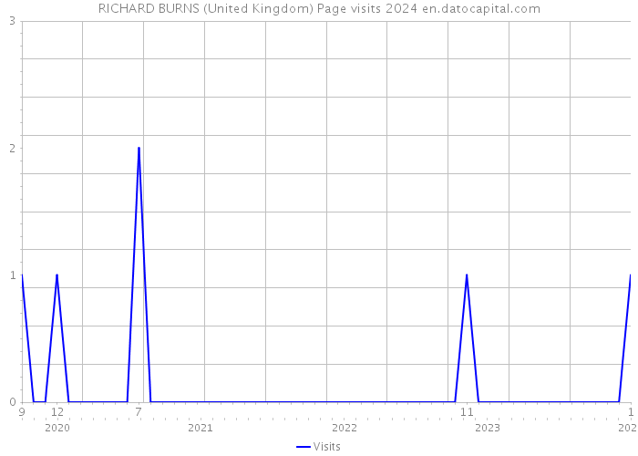 RICHARD BURNS (United Kingdom) Page visits 2024 