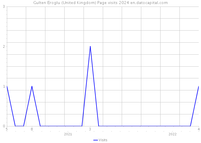 Gulten Eroglu (United Kingdom) Page visits 2024 